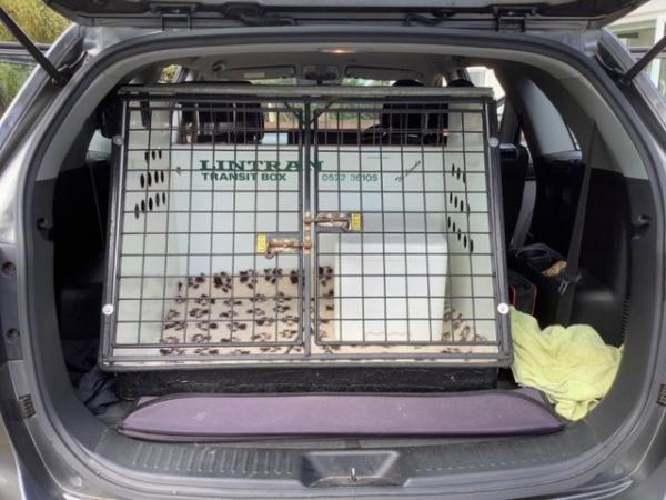 Image 1 of LINTRAN DOG CAGE FOR CAR