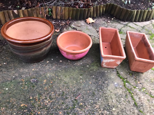 Preview of the first image of Four terracotta pots all for £40.