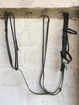Image 2 of Sabre Brown Leather Bridle with Reins and Martingale