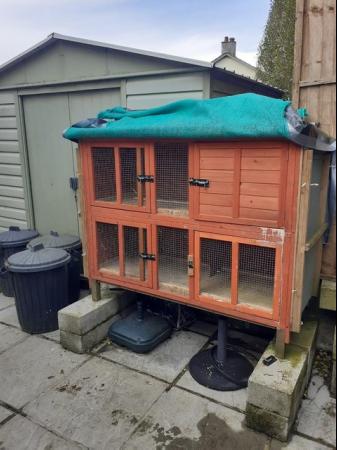 Image 1 of DOUBLE RABBIT/GUINEA PIG HUTCHES(2)