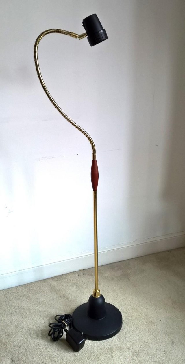 Elegant flexible brass floor lamp by Serious Readers