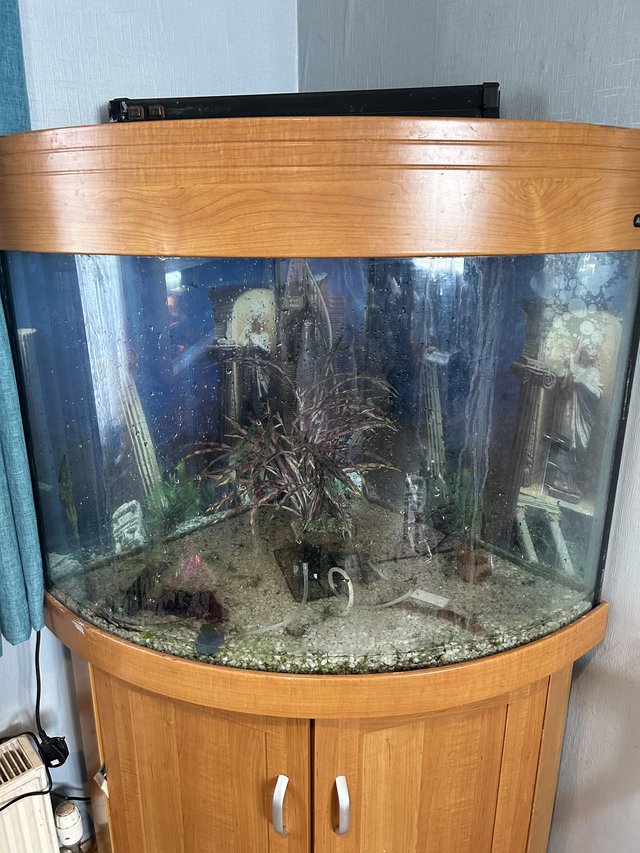 Preview of the first image of Corner fish tank with standCorner fish tank with stand.