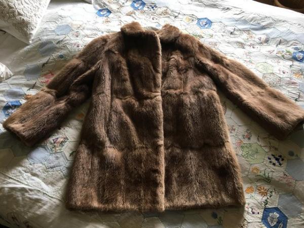 Image 1 of Ladies Musquash vintage 3/4 length coat
