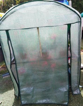 Image 8 of Mini Greenhouse for Plants & Seedlings