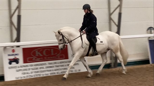 Preview of the first image of Lovely 14.2hh Connemara pony for part loan.