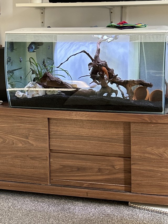 Preview of the first image of Fluval flex 123L  fish tank.