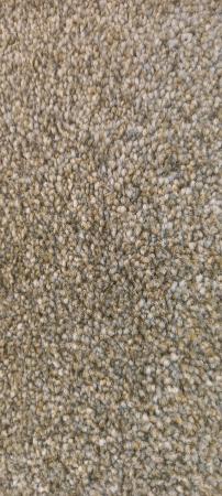 Image 1 of Carpet beige new 11ft 6" x 10ft 3" fantastic quality