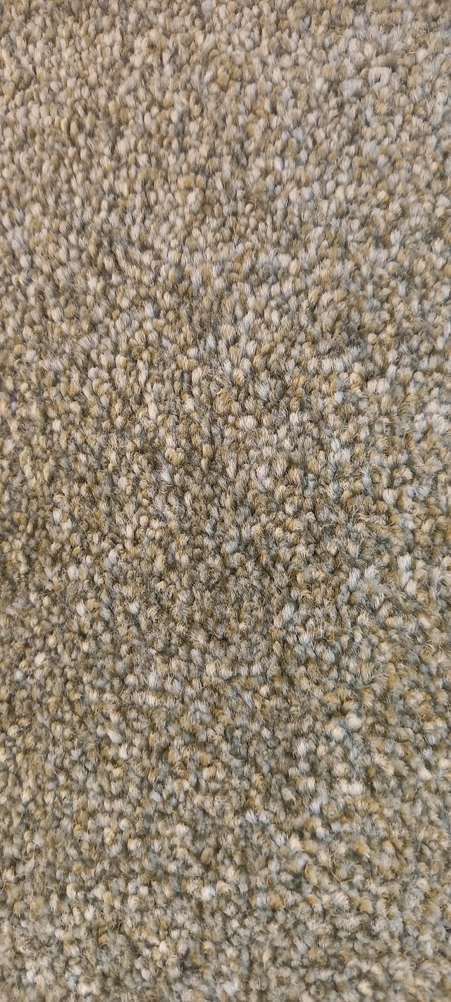 Preview of the first image of Carpet beige new 11ft 6" x 10ft 3" fantastic quality.