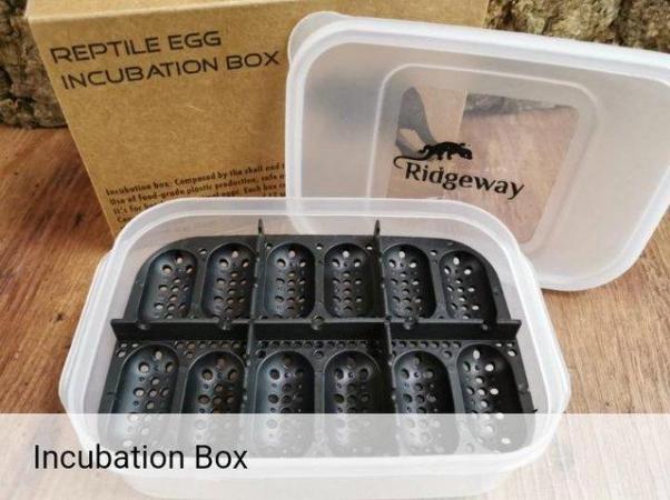 Image 7 of Ridgeway Reptile Egg Incubation Box