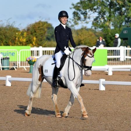 Image 2 of Horse share- dressage star (waltham abbey)