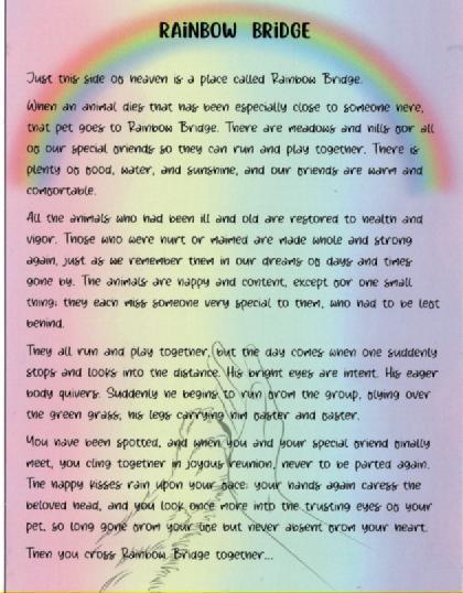 Preview of the first image of RAINBOW BRIDGE PET MEMORIAL FRIDGE MAGNET - POSTCARD SIZE.