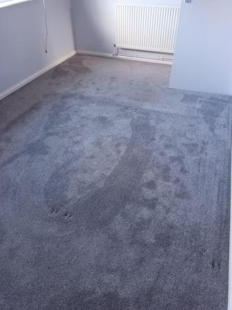 Image 1 of Beautiful Grey Carpet for sale
