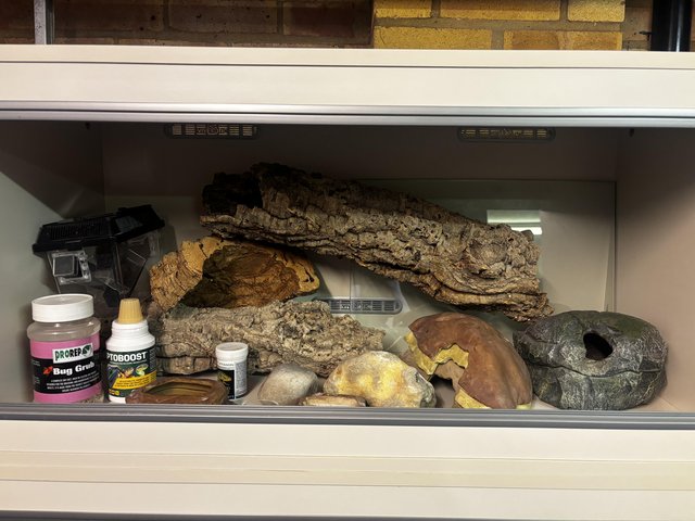 Viv exotic Vivariums for reptiles — photo 4 of 4