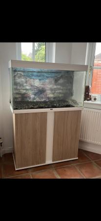 Image 1 of 3ft fish tank for sale (no light but has everything else)