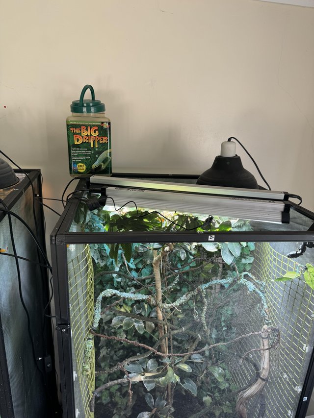 Preview of the first image of Reptibreeze mesh chameleon enclosure xl.
