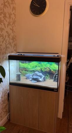 Image 3 of Fluval Roma 125 fish tank with cabinet stand