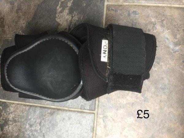 Image 1 of Brow band, Fetlock boots, Over reach boots