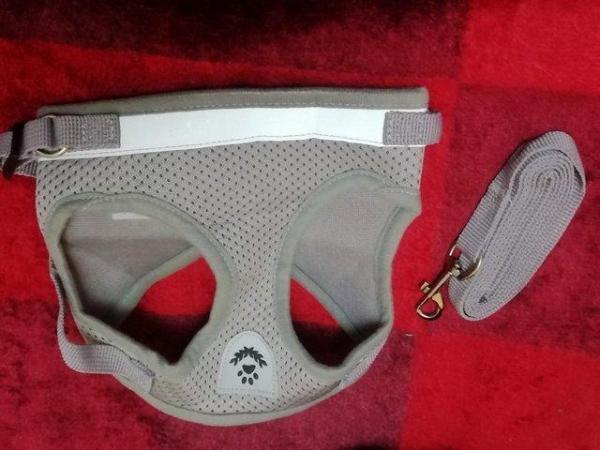 Image 2 of Cat Harness and lead GREY brand new size XS