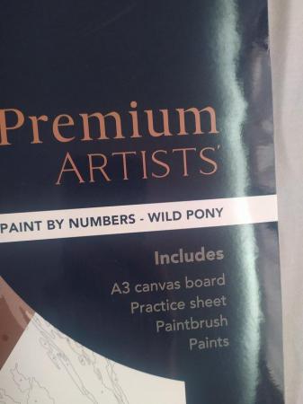 Image 4 of Premium Artists - Paint by Numbers - Wild Pony