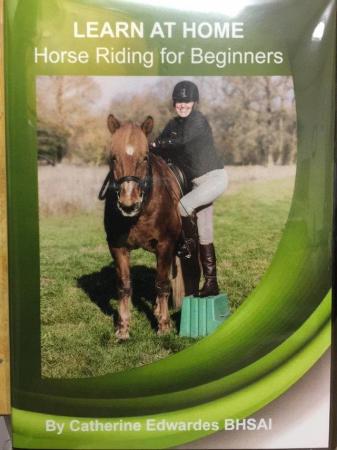 Image 3 of Horse Riding for Beginners 3hr DVD or Digital download