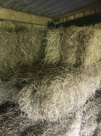 Image 2 of Small bale hay for sale £3.50 each