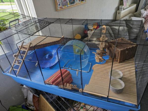 Image 1 of Hamster/mouse cage for sale Skyline Barney