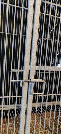 Image 5 of Large Parrot Cage ¦ Montana