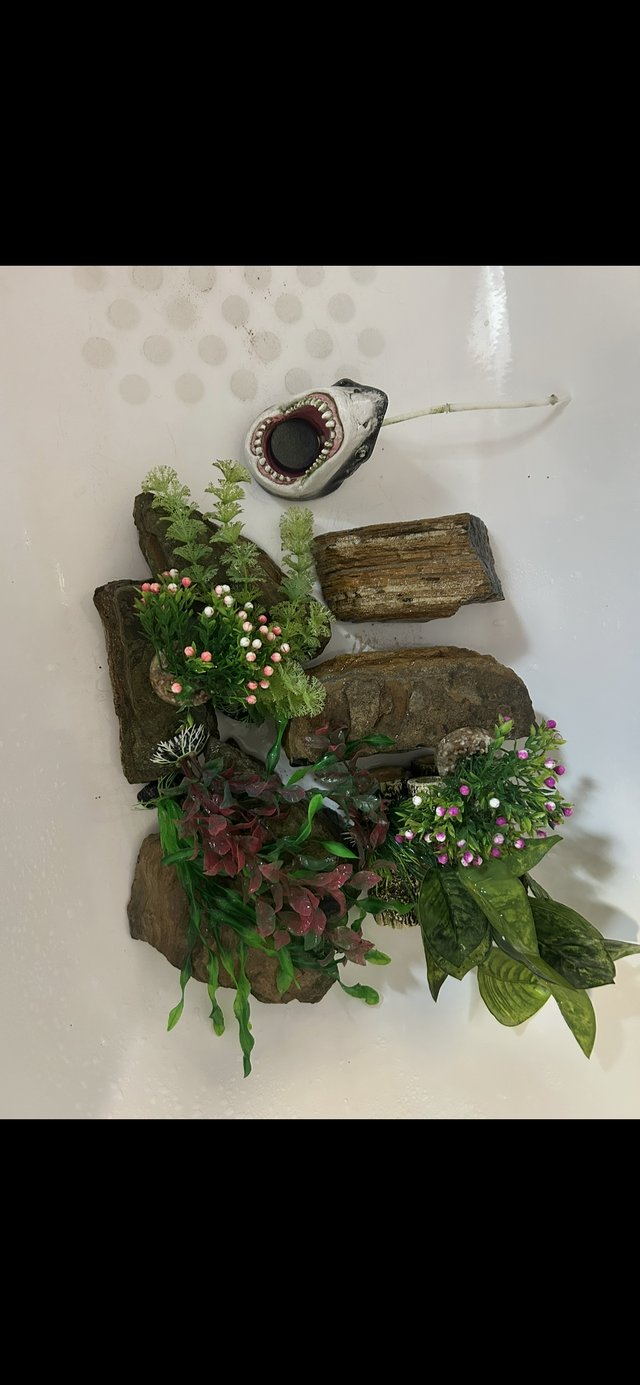 Fish tank and stand comes with decor — photo 3 of 4
