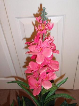 Image 2 of Large Artificial Plant with Dark Pink / Red flowers