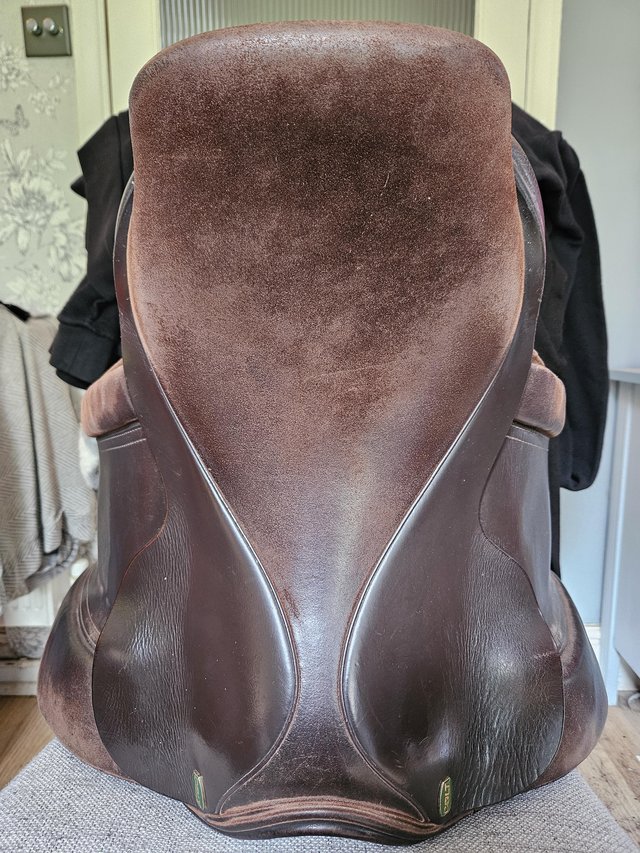 Preview of the first image of Brown Colt show showing saddle.