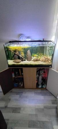 Image 6 of Stunning 200L Fish Aquarium with Stand & Accessories