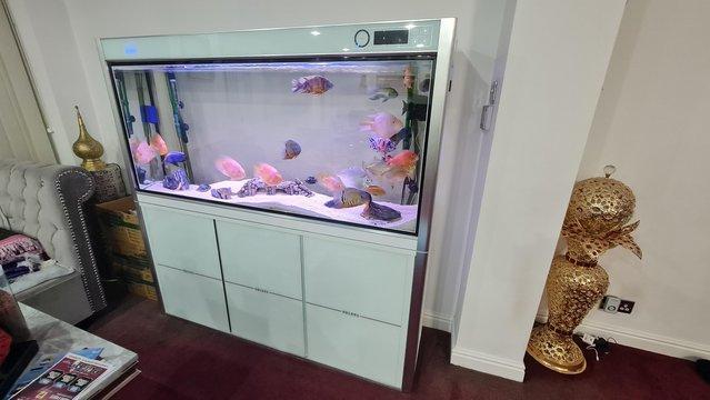 Image 3 of 5ft fishtank comes with everything