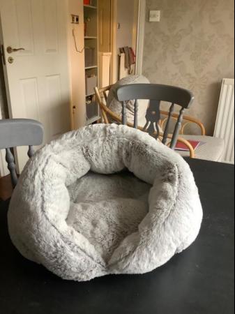 Image 1 of Cat / Kitten bed, scratching post and scratching dome