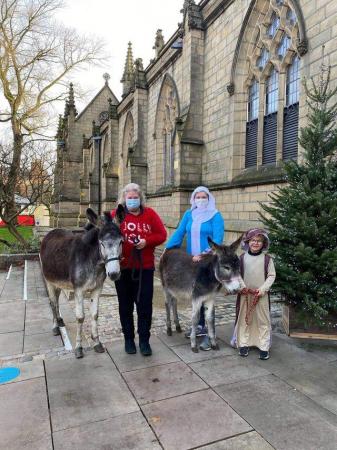 Image 1 of REDUCED Tara the Donkey is looking for a new friend