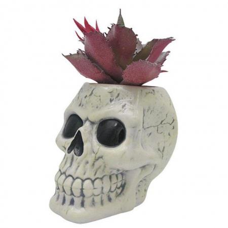 Image 2 of Shaped Ceramic Garden Planter/Plant Pot - Ancient Skull.