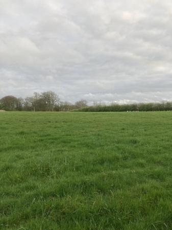 Image 1 of Wanted - grazing land any size PR7 area Chorley / Standish