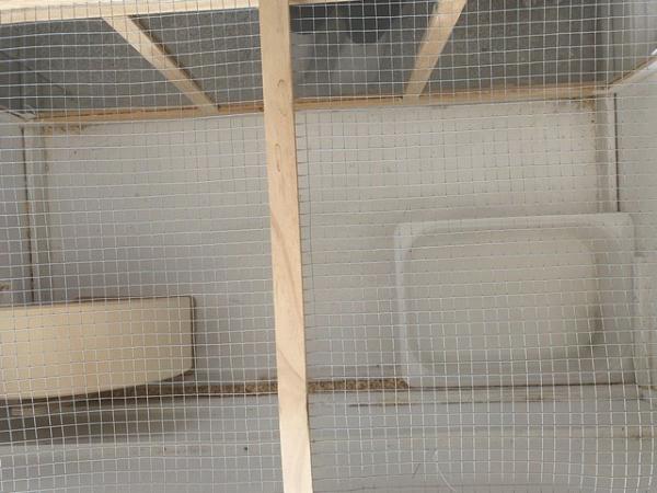 Image 3 of Hamster/mouse/gerbil Cage