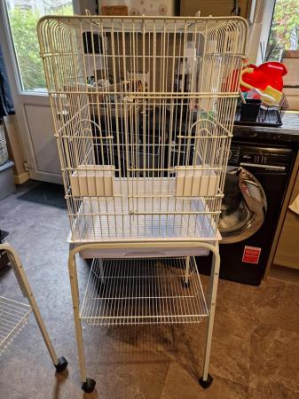 Image 1 of Santa monica cage and stand