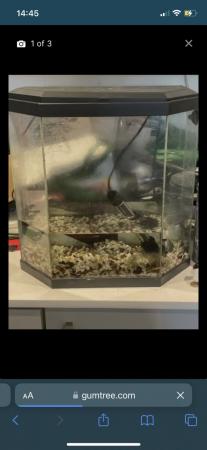 Image 2 of Starter fish aquarium tank