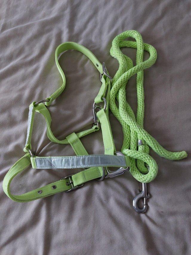 Preview of the first image of Harry Hall pony size headcollar and lead rope.