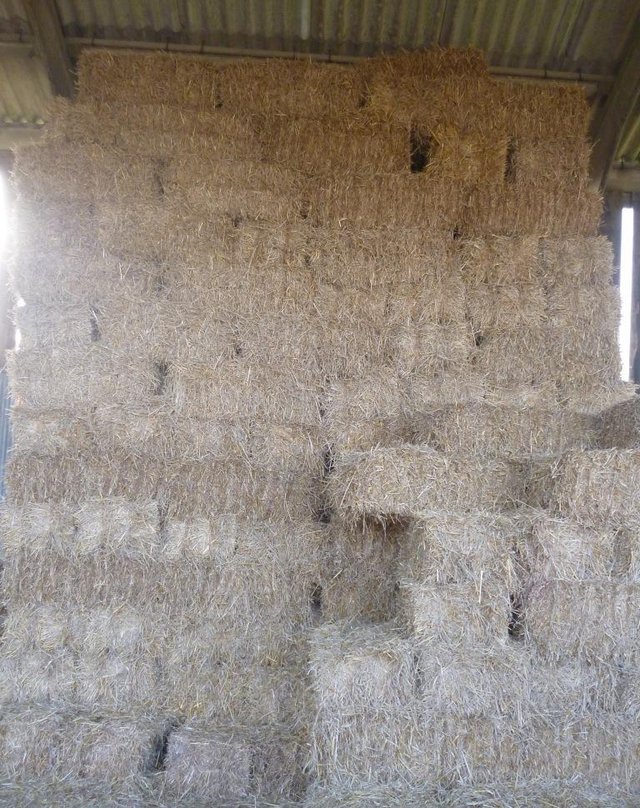 Preview of the first image of 30 small bales of meadow Hay, offers please.
