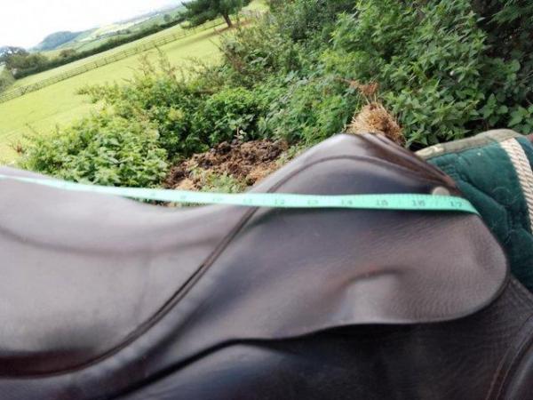 Image 3 of 16.5" English leather pony saddle
