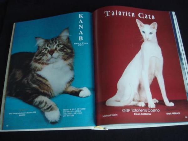 Image 5 of CFA (USA) Year Book Pedigree Show Cats GCCF Persian Siamese