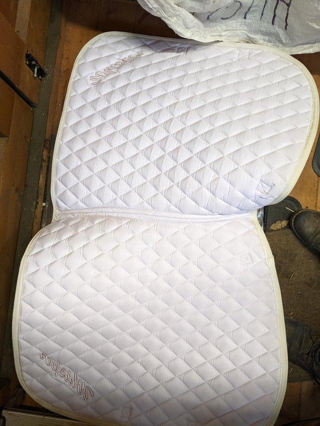 Preview of the first image of Full White Saddle Pad Embroidered WHISPER.