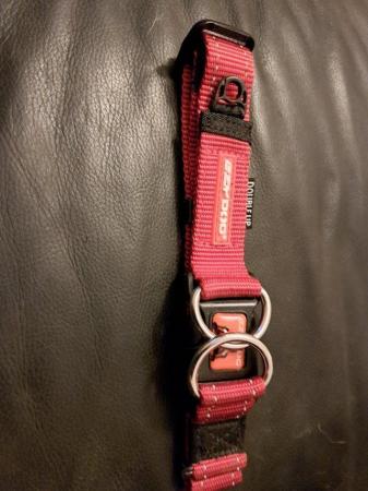 Image 2 of BRAND NEW Ezy Dog collar, red size large