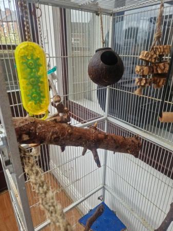 Image 4 of Large parrot cage lots toys