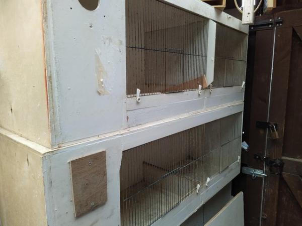 Image 4 of BREEDING CAGES FOR SALE