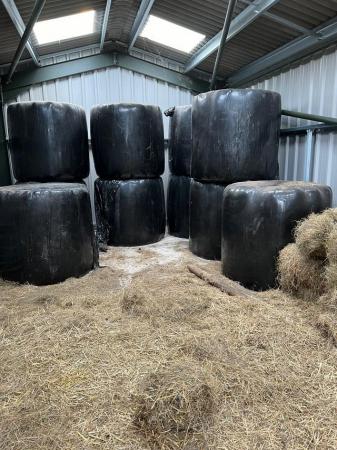 Image 4 of Haylage round bales for sale