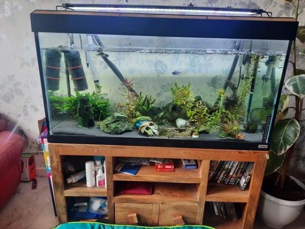 Image 4 of Fish tank and stand including fish