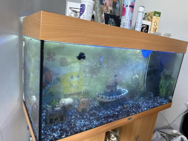 Image 3 of 240ltr fish tank aquarium